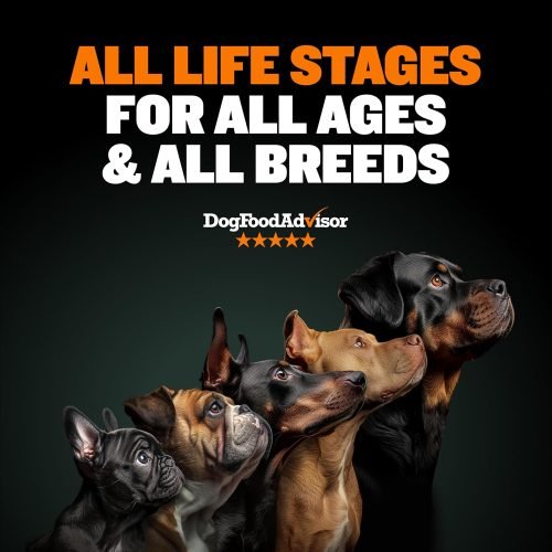 Life Stages Life Stages